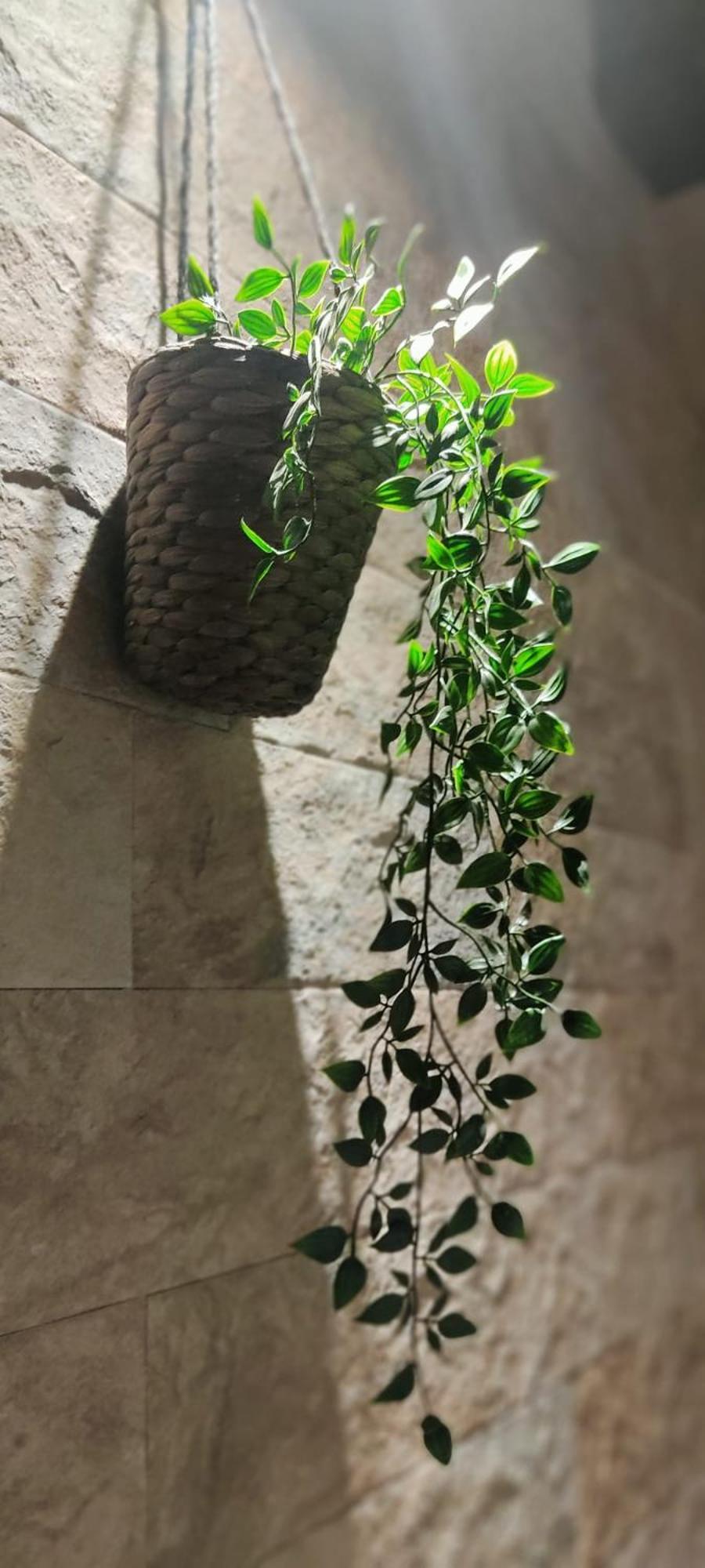 Dimora Al Saraceno Hotel Ferrara Luaran gambar